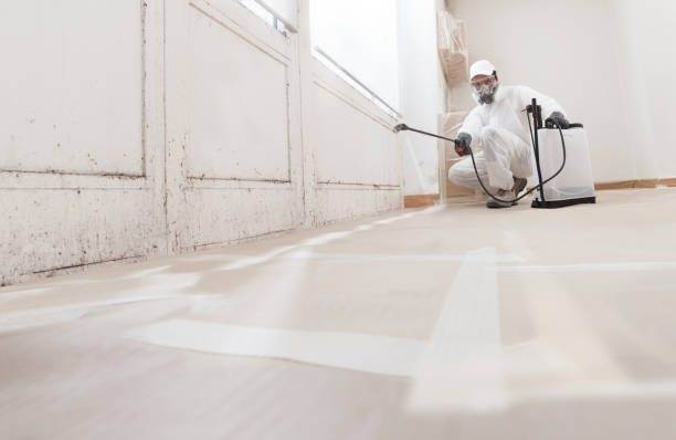 24/7 Emergency Mold Removal experts in Langhorne, PA